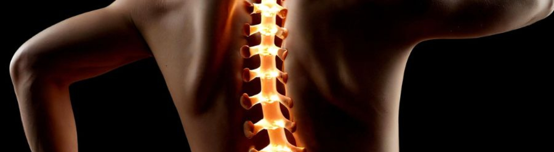 The Spiritual Wisdom of the Spine – Jean-Yves Leloup